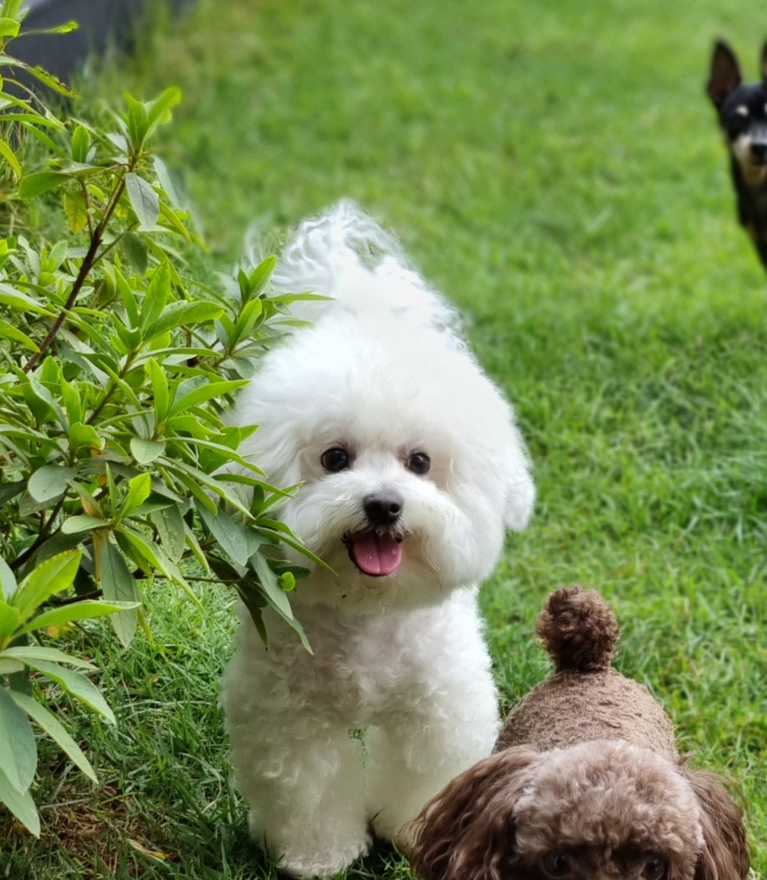 짜요네 픽업 & 드랍 서비스